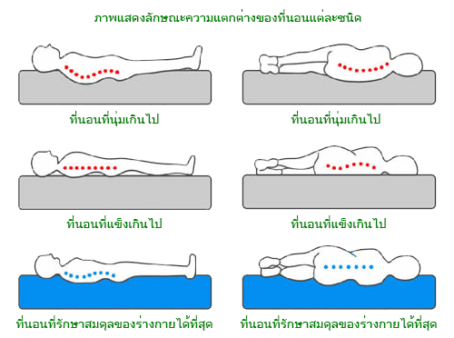 วิธีเลือกซื้อที่นอน